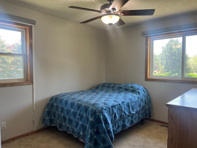 1803 214th Ave NE, East Bethel, MN 55011 - carpeted bedroom featuring multiple windows, ceiling fan, and a textured ceiling