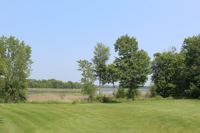 1803 214th Ave NE, East Bethel, MN 55011 - view of green lawn with a water view