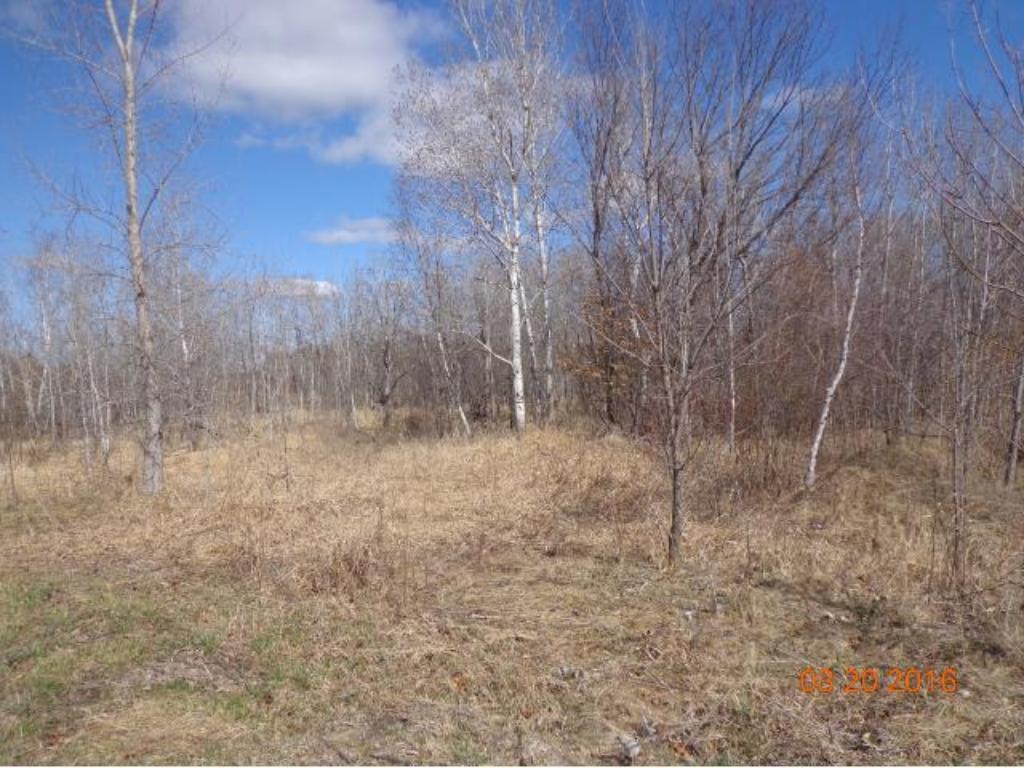 17205 Lincoln St NE, Ham Lake, MN 55304 - photo 1