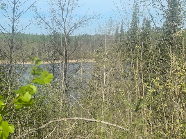 19997 Stockyard Rd, Bagley, MN 56621 - view of tree filled area featuring a water view