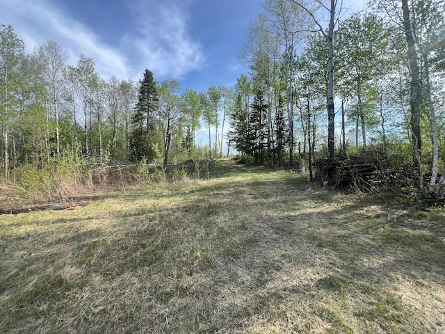 19997 Stockyard Rd, Bagley, MN 56621 - view of nature