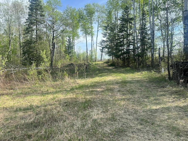 19997 Stockyard Rd, Bagley, MN 56621 - view of yard