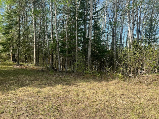 19997 Stockyard Rd, Bagley, MN 56621 - view of local wilderness