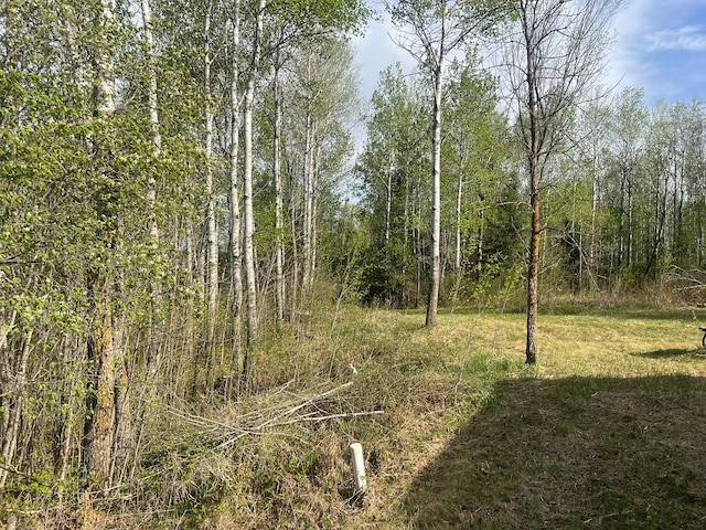 19997 Stockyard Rd, Bagley, MN 56621 - view of nature