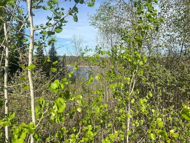 19997 Stockyard Rd, Bagley, MN 56621 - view of undeveloped land