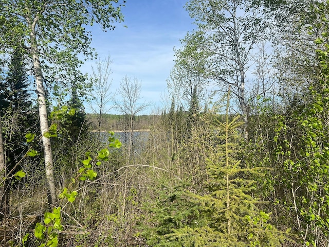 19997 Stockyard Rd, Bagley, MN 56621 - view of wooded area