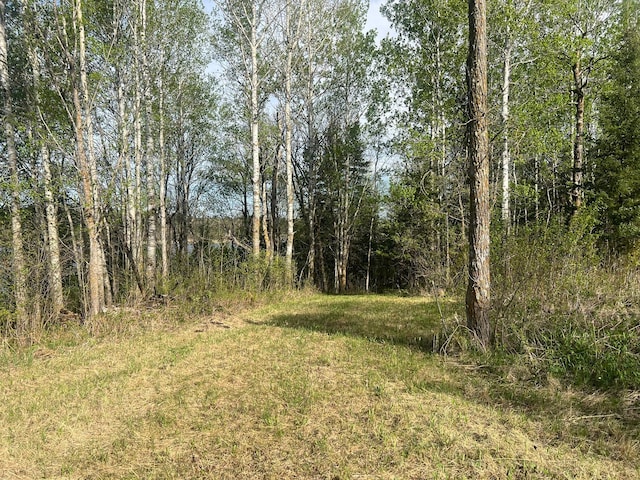 19997 Stockyard Rd, Bagley, MN 56621 - view of undeveloped land