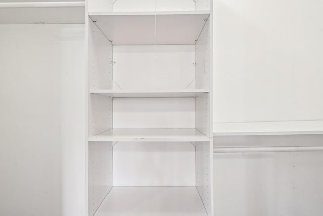 4515 Grand Ave S Unit 1, Minneapolis, MN 55419 - view of walk in closet