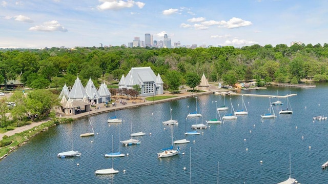 4515 Grand Ave S Unit 1, Minneapolis, MN 55419 - water view