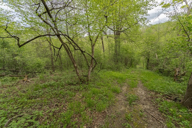 7630 County Rd 15, Stewartville, MN 55976 - photo 33