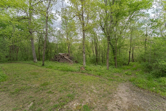 7630 County Rd 15, Stewartville, MN 55976 - photo 35