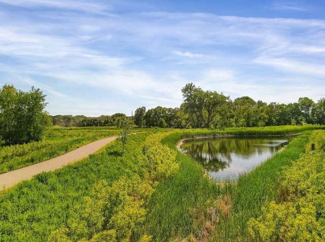 1165 Woods Creek Dr S, Delano, MN 55328 - water view