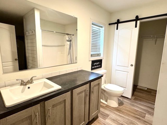 424 2nd St N, Greenbush, MN 56726 - full bathroom featuring wood finished floors, toilet, and vanity