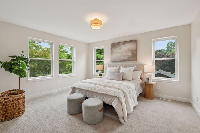 5350 41st Ave S, Minneapolis, MN 55417 - bedroom with multiple windows, baseboards, and light colored carpet