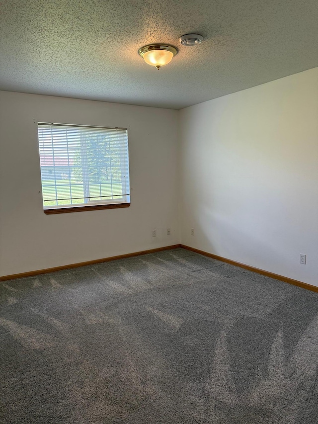 446 30th St N, Moorhead, MN 56560 - empty room featuring carpet, baseboards, and a textured ceiling