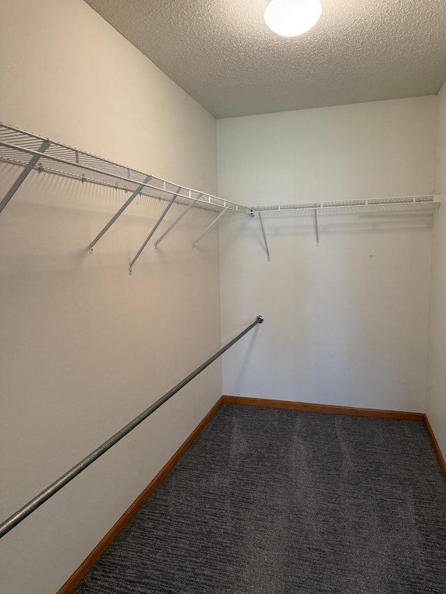 446 30th St N, Moorhead, MN 56560 - spacious closet featuring carpet floors