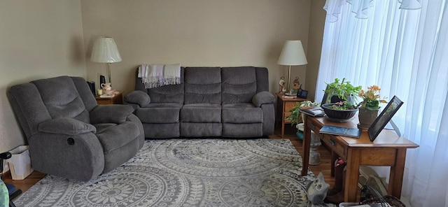 114 6th Ave, Albert Lea, MN 56007 - living area featuring wood finished floors and healthy amount of natural light