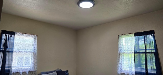 114 6th Ave, Albert Lea, MN 56007 - empty room featuring a textured ceiling