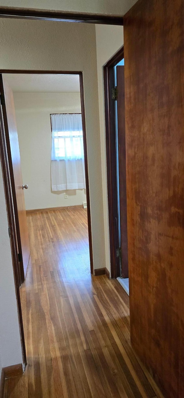114 6th Ave, Albert Lea, MN 56007 - photo 24