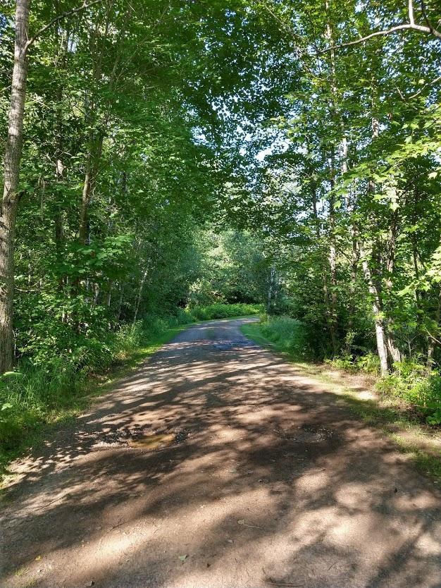 60047 Finlayson Rd, Pine Lake Twp, MN 55735 - photo 103