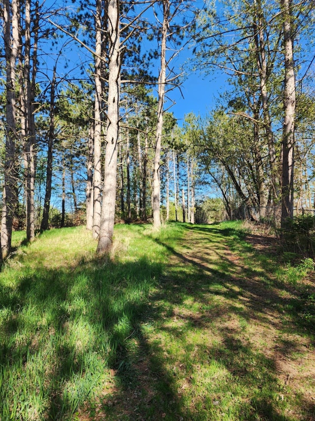 60047 Finlayson Rd, Pine Lake Twp, MN 55735 - photo 123