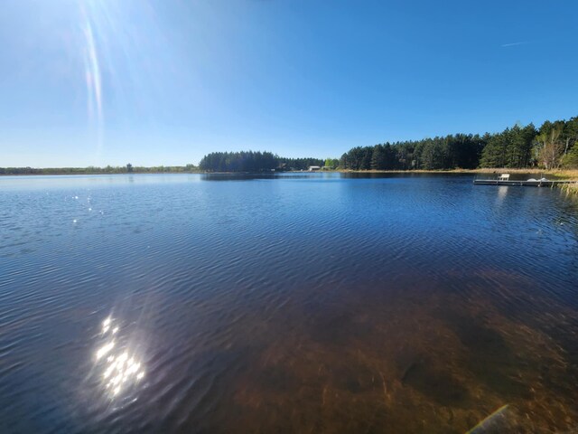 60047 Finlayson Rd, Pine Lake Twp, MN 55735 - photo 126