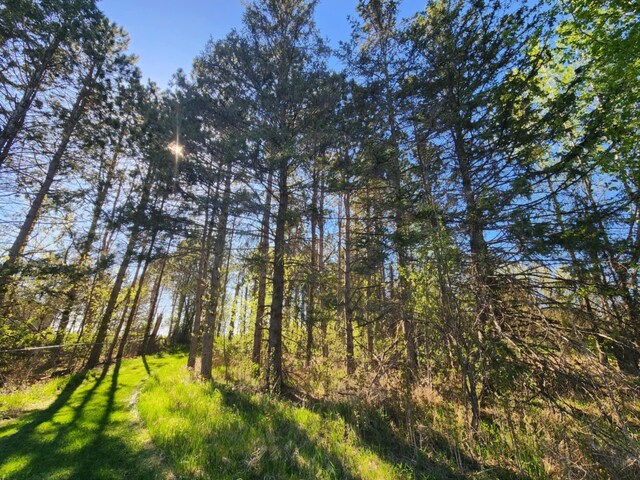 60047 Finlayson Rd, Pine Lake Twp, MN 55735 - photo 149