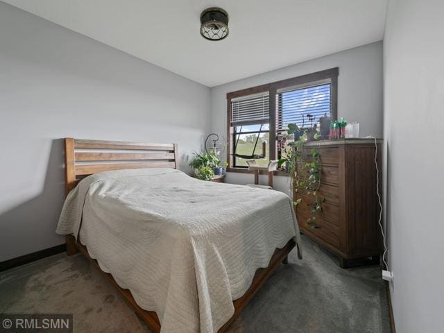 1706 57th Ave, Hammond, WI 54015 - carpeted bedroom featuring baseboards