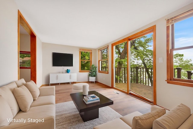 22718 Martin Lake Dr NE, Linwood Twp, MN 55092 - living area featuring wood finished floors