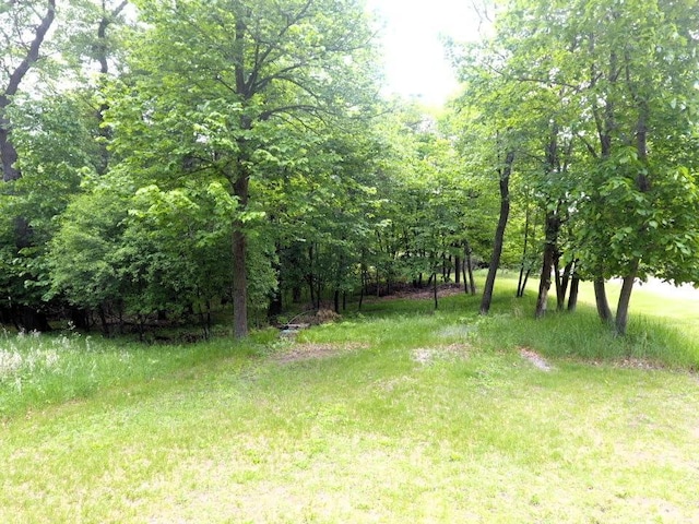 22718 Martin Lake Dr NE, Linwood Twp, MN 55092 - view of yard