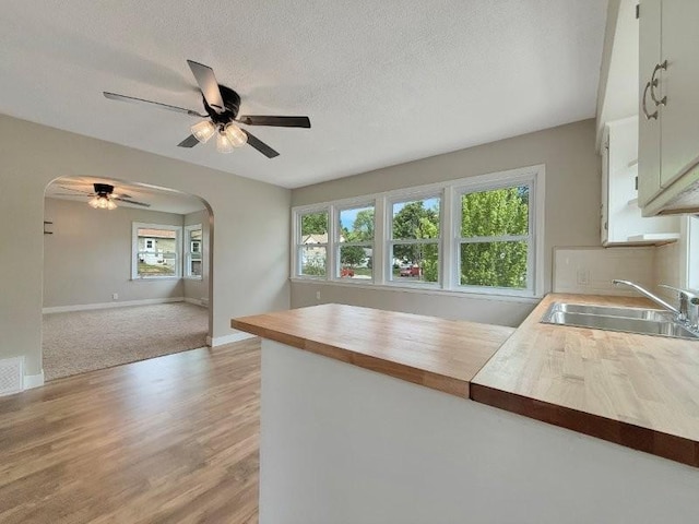 306 Blinkman St, Fairmont, MN 56031 - kitchen featuring arched walkways, a sink, wood counters, a ceiling fan, and a textured ceiling