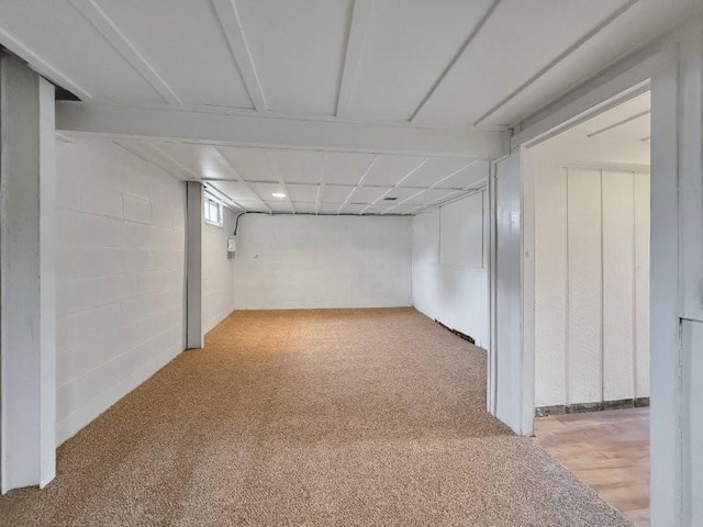 306 Blinkman St, Fairmont, MN 56031 - basement with carpet floors and concrete block wall