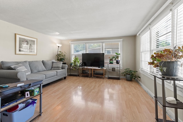 1391 Main St, Saint Joseph Twp, WI 54082 - living room featuring light wood-type flooring