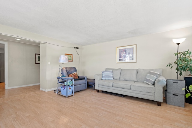 1391 Main St, Saint Joseph Twp, WI 54082 - living room featuring light wood-type flooring
