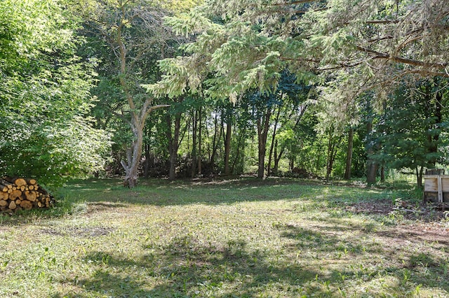 1391 Main St, Saint Joseph Twp, WI 54082 - view of grassy yard