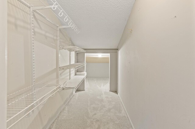6007 Covington Ter, Minnetonka, MN 55345 - walk in closet featuring carpet floors