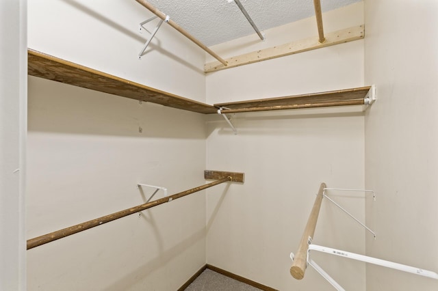 6007 Covington Ter, Minnetonka, MN 55345 - view of walk in closet