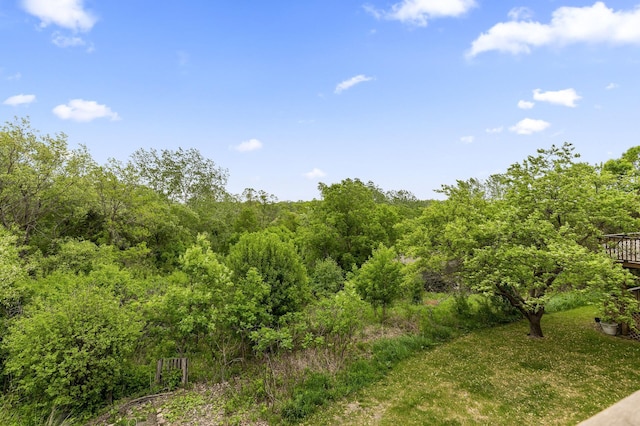 6007 Covington Ter, Minnetonka, MN 55345 - view of wooded area