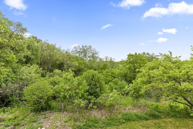 6007 Covington Ter, Minnetonka, MN 55345 - view of woods