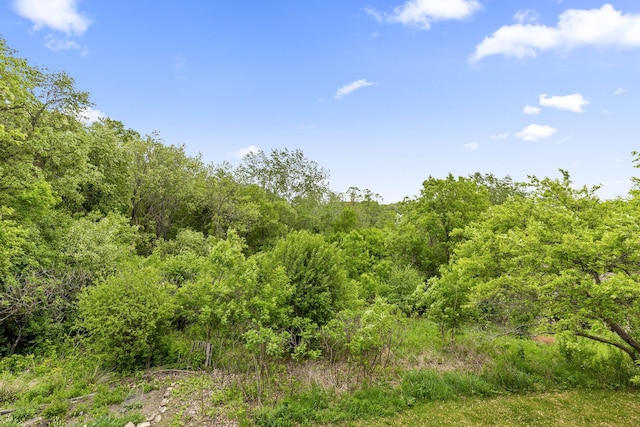 6007 Covington Ter, Minnetonka, MN 55345 - view of wooded area