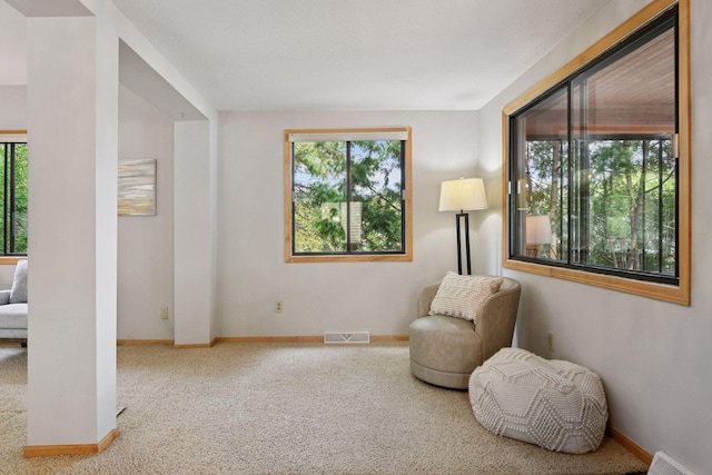 2452 Black Lake Rd, Spring Park, MN 55384 - living area with carpet and baseboards
