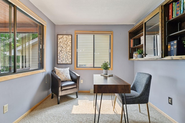 2452 Black Lake Rd, Spring Park, MN 55384 - office space with carpet and baseboards