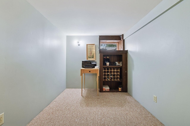 2452 Black Lake Rd, Spring Park, MN 55384 - hallway featuring carpet floors