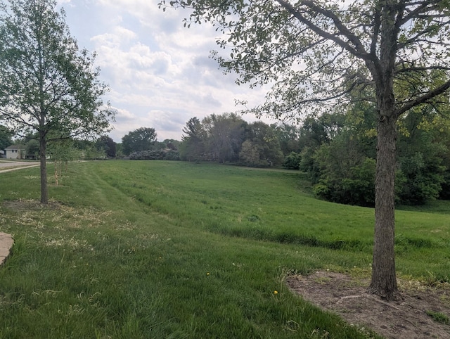 view of grassy yard with a rural view