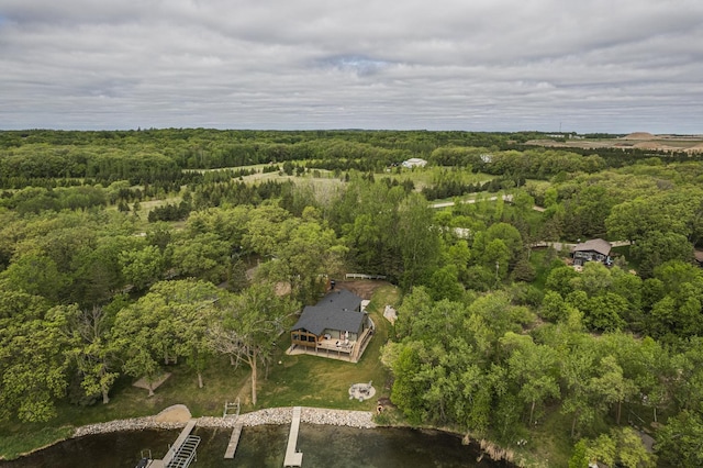 23593 Foxview Ln, Lake View Twp, MN 56501 - aerial overview of property's location featuring a forest and a nearby body of water