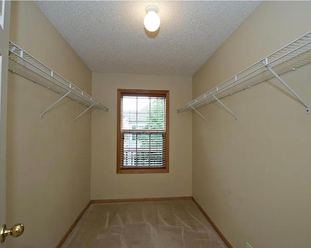 15437 Frost Path Unit 1507, Apple Valley, MN 55124 - spacious closet with carpet