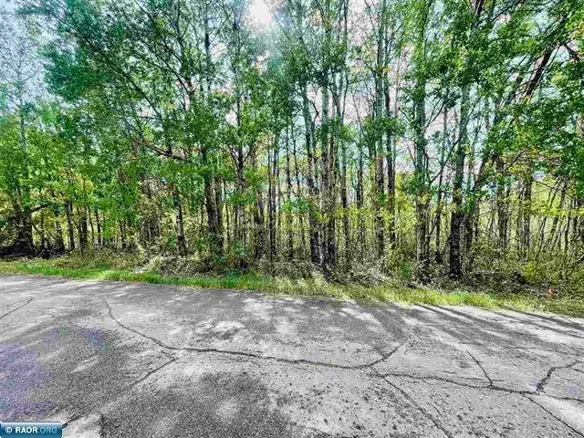 TBD 3rd St, Littonia, Hibbing, MN 55746