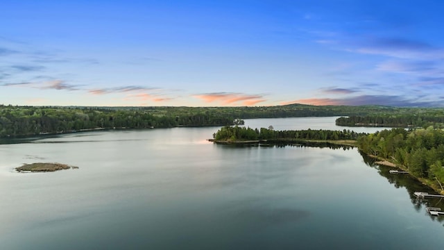 14464 Grouse Ln, Fifty Lakes, MN 56448 - water view with a forest