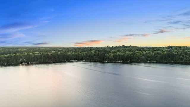 14464 Grouse Ln, Fifty Lakes, MN 56448 - water view with a heavily wooded area