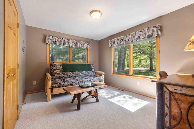 14464 Grouse Ln, Fifty Lakes, MN 56448 - living room with carpet